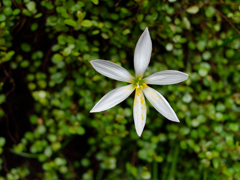 F1.8　F値と画質チェック