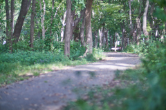 DSC02470