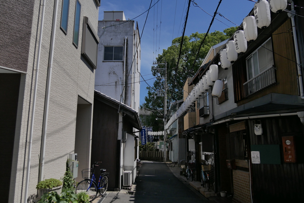 暑中お見舞い申し上げます