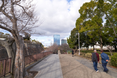 DSC04654