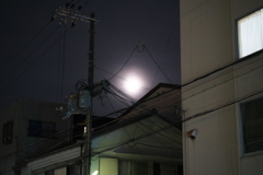 夜散歩