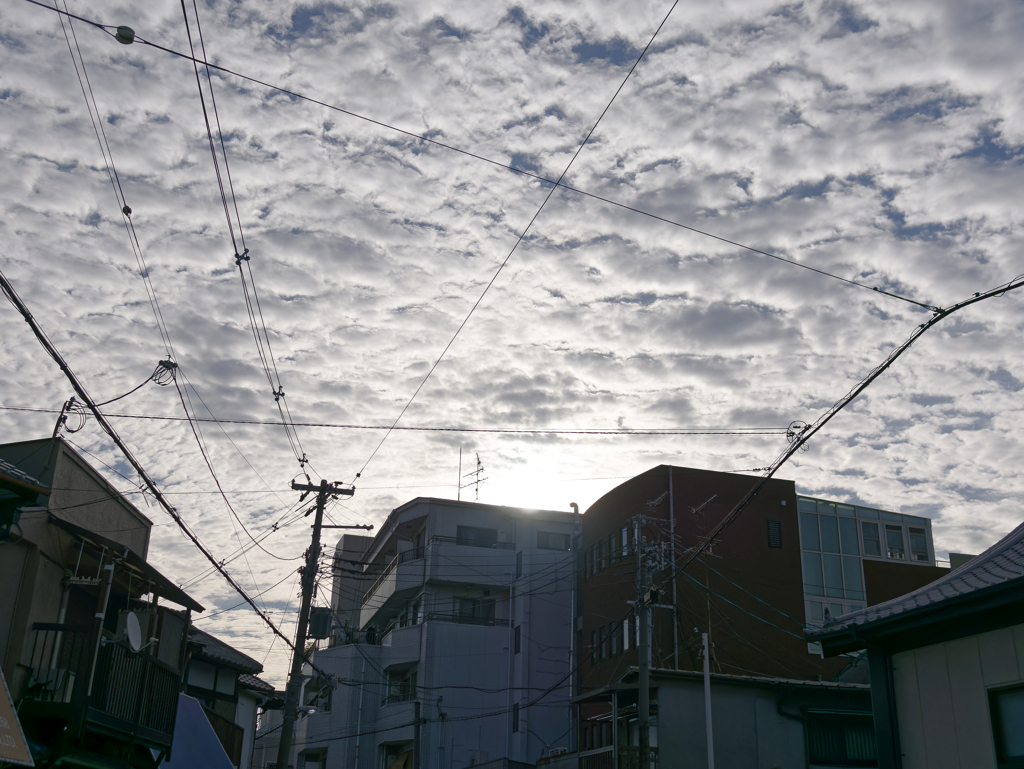 _1020100_DxO