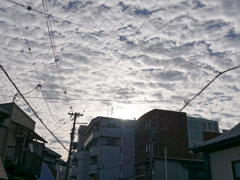 _1020100_DxO