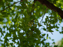 P1060494_DxO