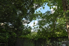 DSC02082