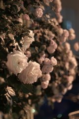 DSC00773