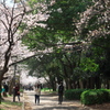 P1077958