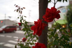 DSC00072