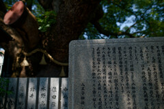 7R309358_DxO