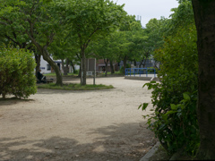 _1000670_DxO