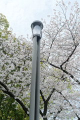 7R308964_DxO