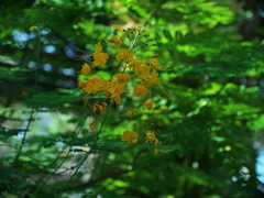 P1082351