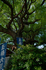 7R309360_DxO