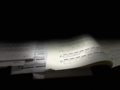 IMG_3447