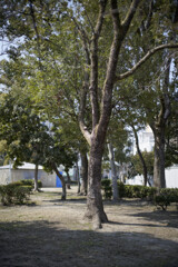 _7R32189_DxO