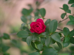 P1051801