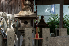DSC01019_DxO