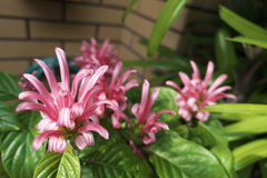 P1020322