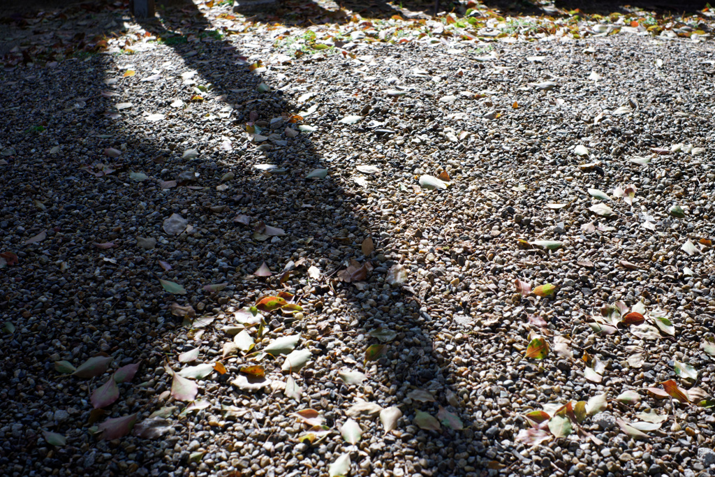 DSC01292_DxO