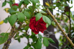 DSC00073
