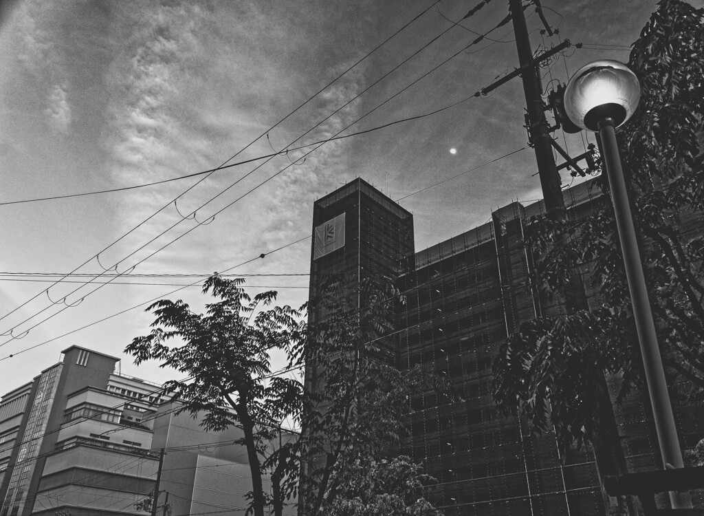 _1040495_DxO