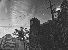 _1040495_DxO