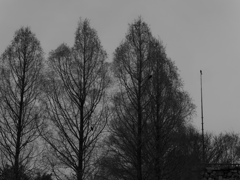 _G9P4454_DxO