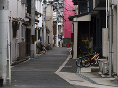 P1060757_DxO