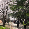 P1077956