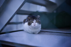 _7R32461_DxO