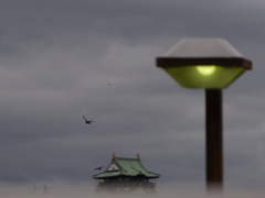 UFO的な街頭