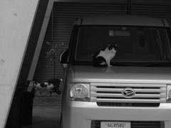 P1000644_DxO