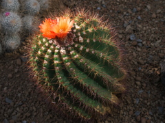 P1082681