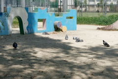 P1000675_DxO