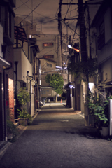 DSC02953