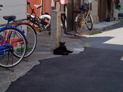 新しい居場所