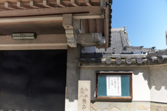 DSC07221