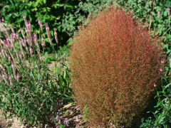P1082536