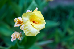 DSC06875_1