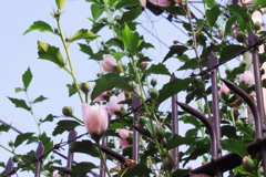 P1080973