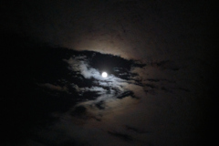 DSC04251b_1