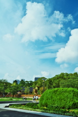 雲