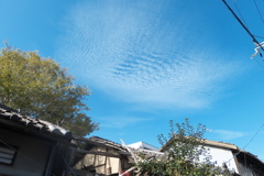 P1020294