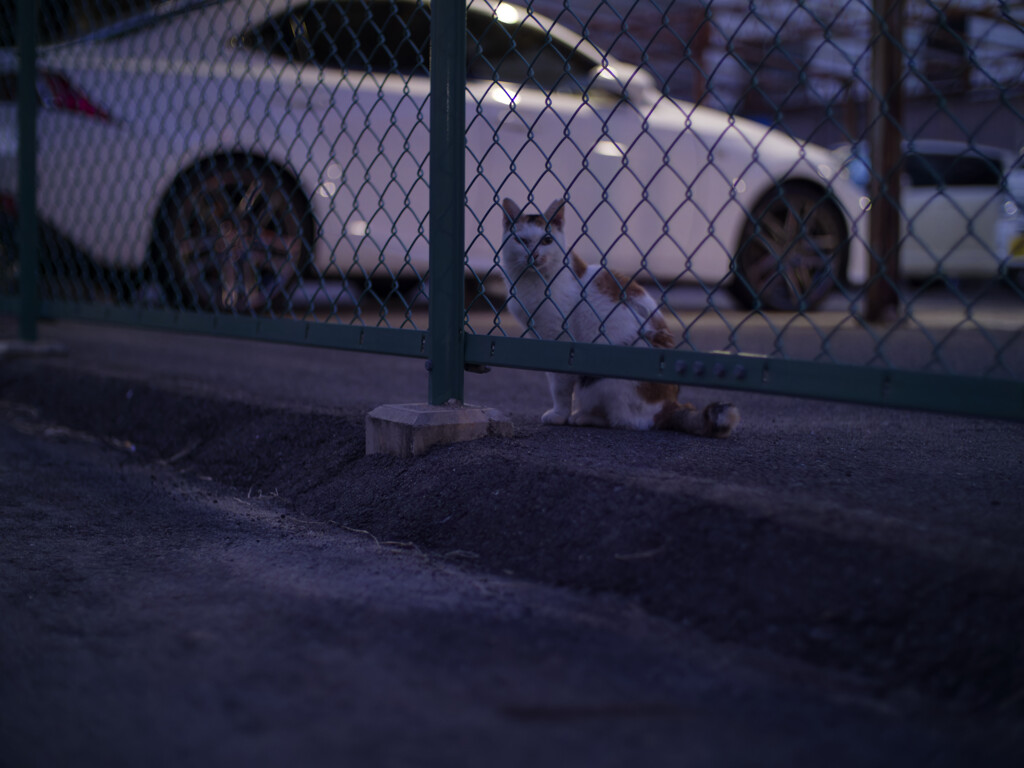 警戒された(;'∀')