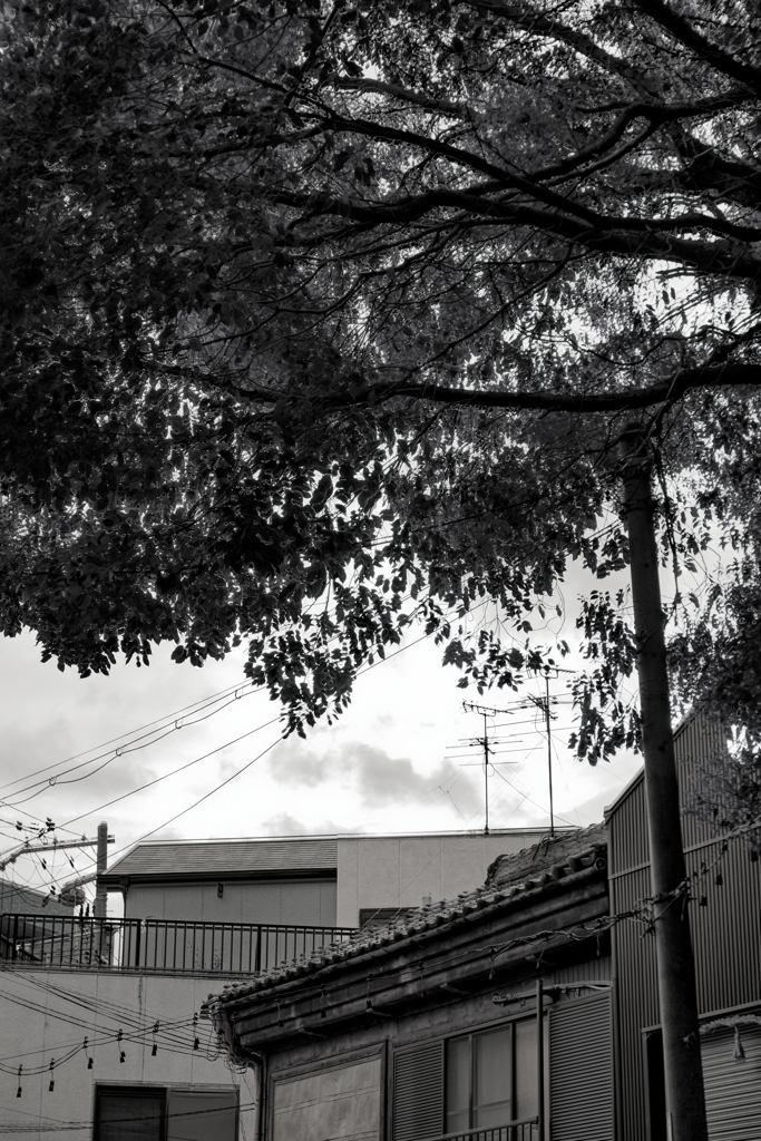 HDR　ブレます