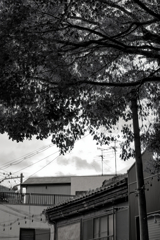 HDR　ブレます