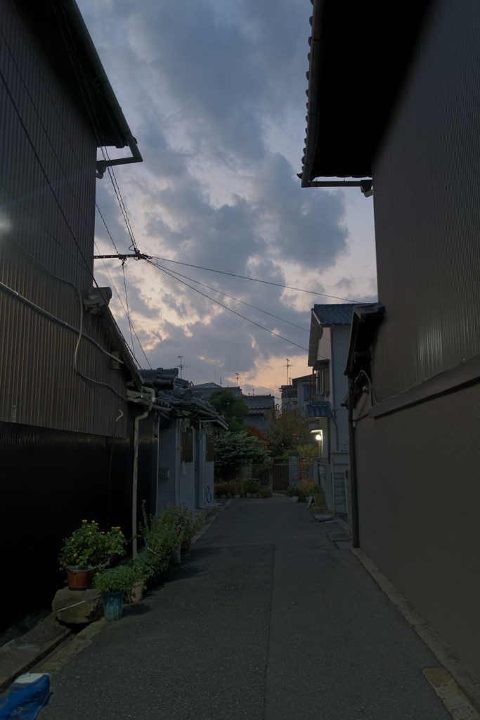 _A7C3044_DxO