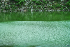 DSC01833