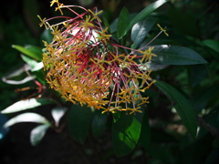 P1082357