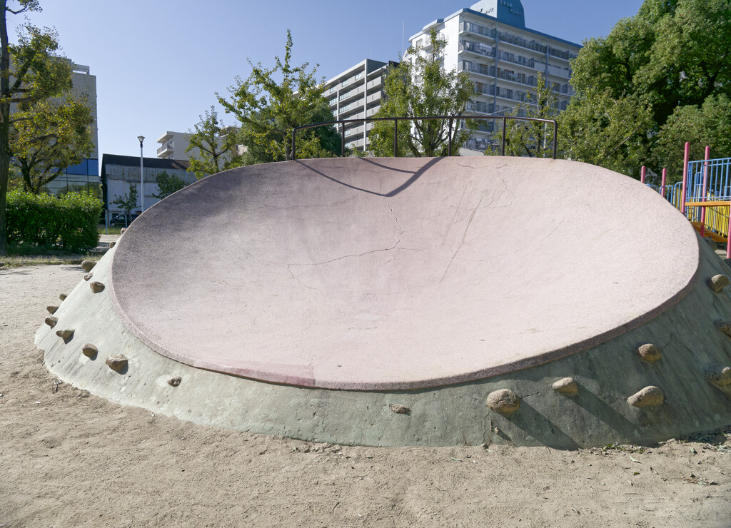_1050529_DxO